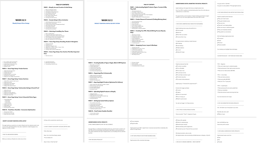 🌟 How to Build and Scale a Digital Product Store ?(The Complete Guide)
